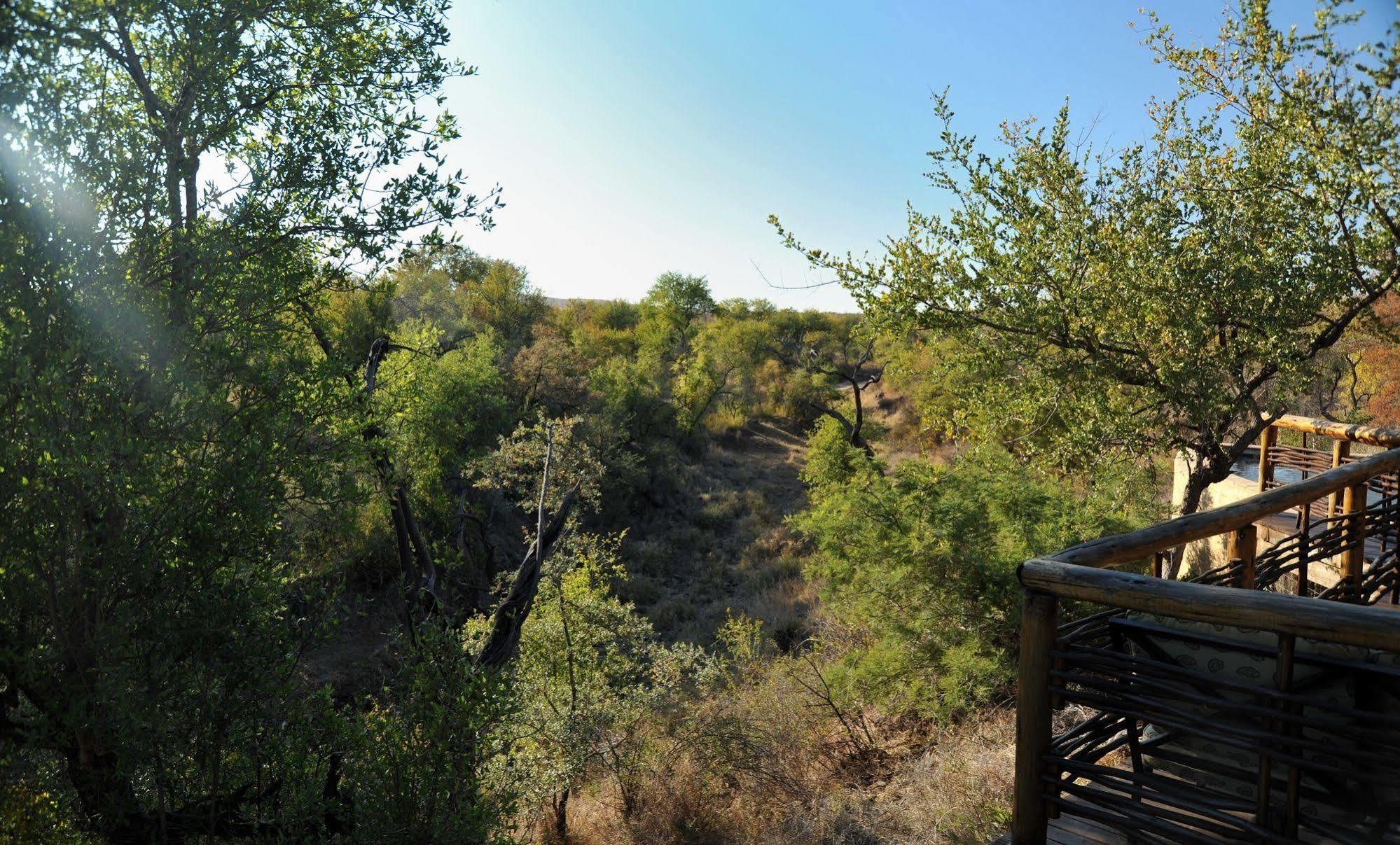 Aha Thakadu River Camp Madikwe Game Reserve Eksteriør bilde