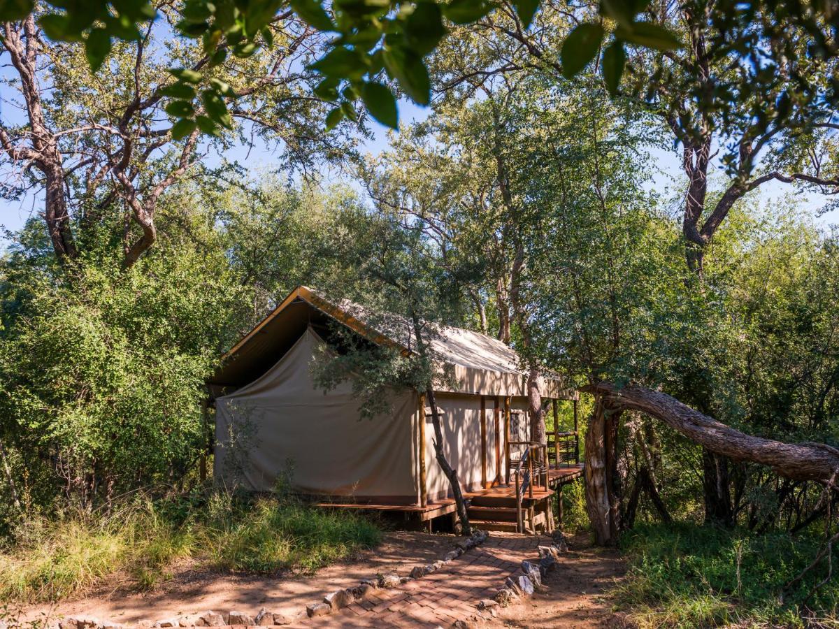 Aha Thakadu River Camp Madikwe Game Reserve Eksteriør bilde